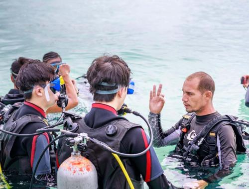 Diving Briefing and FAQs